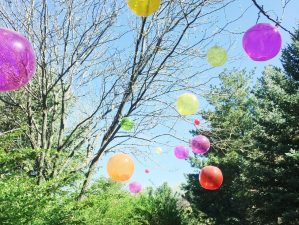 assorted color balloons attached on tree branches